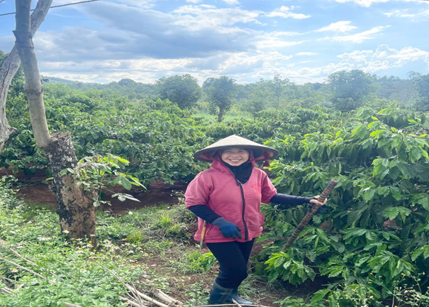 HIỆU QUẢ TỪ CHƯƠNG TRÌNH CHO VAY VỐN HỘ NGHÈO CỦA PHÒNG GIAO DỊCH NGÂN HÀNG CHÍNH SÁCH XÃ HỘI KRÔNG ANA